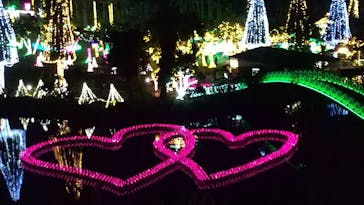 美らヤシパークオキナワ・東南植物楽園に投稿された画像（2021/1/9）