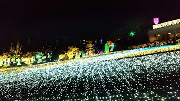 美らヤシパークオキナワ・東南植物楽園に投稿された画像（2021/1/9）