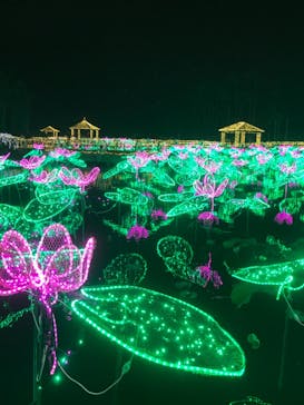 美らヤシパークオキナワ・東南植物楽園に投稿された画像（2021/1/9）