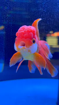 すみだ水族館に投稿された画像（2021/1/9）