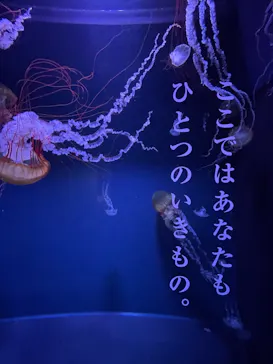 すみだ水族館に投稿された画像（2021/1/9）