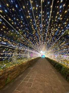 美らヤシパークオキナワ・東南植物楽園に投稿された画像（2021/1/9）