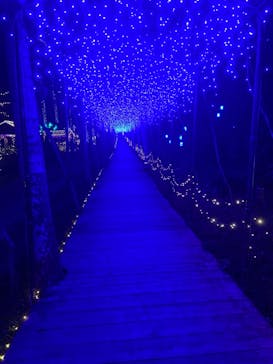 美らヤシパークオキナワ・東南植物楽園に投稿された画像（2021/1/9）