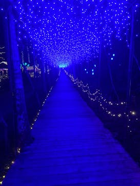 美らヤシパークオキナワ・東南植物楽園に投稿された画像（2021/1/9）