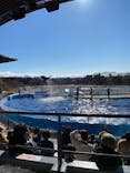 京都水族館に投稿された画像（2021/1/10）