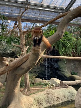 神戸どうぶつ王国に投稿された画像（2021/1/10）