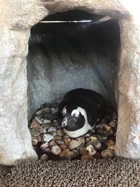 京都水族館に投稿された画像（2021/1/10）