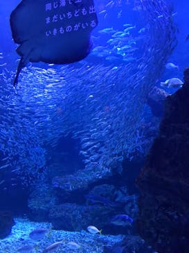京都水族館に投稿された画像（2021/1/10）