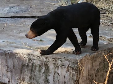 天王寺動物園に投稿された画像（2021/1/10）