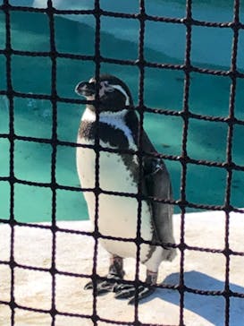 天王寺動物園に投稿された画像（2021/1/10）