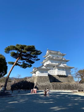 小田原城に投稿された画像（2021/1/10）