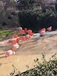 天王寺動物園に投稿された画像（2021/1/10）