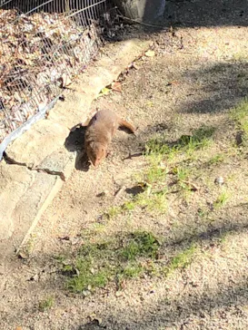 天王寺動物園に投稿された画像（2021/1/10）