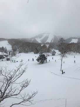 志賀高原焼額山スキー場に投稿された画像（2021/1/10）