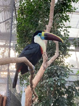 神戸どうぶつ王国に投稿された画像（2021/1/10）