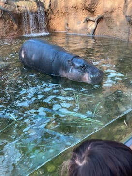 神戸どうぶつ王国に投稿された画像（2021/1/10）