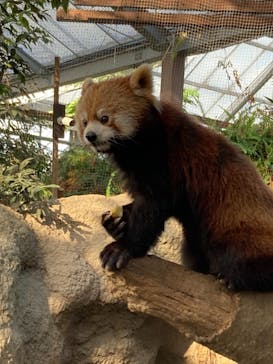 神戸どうぶつ王国に投稿された画像（2021/1/10）