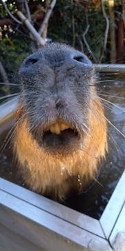 横浜・八景島シーパラダイスに投稿された画像（2021/1/10）
