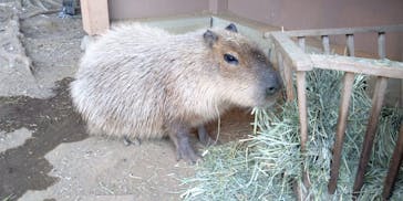 横浜・八景島シーパラダイスに投稿された画像（2021/1/10）