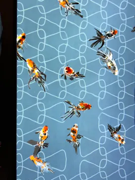 すみだ水族館に投稿された画像（2021/1/10）