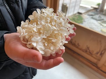 アトリエひわだやに投稿された画像（2021/1/10）