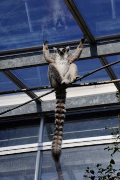 神戸どうぶつ王国に投稿された画像（2021/1/10）