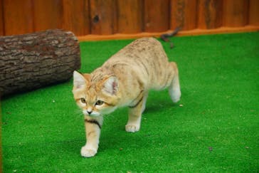 神戸どうぶつ王国に投稿された画像（2021/1/10）