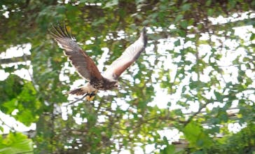 神戸どうぶつ王国に投稿された画像（2021/1/10）