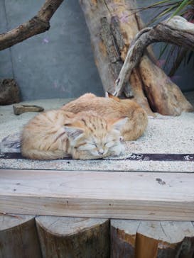 神戸どうぶつ王国に投稿された画像（2021/1/10）