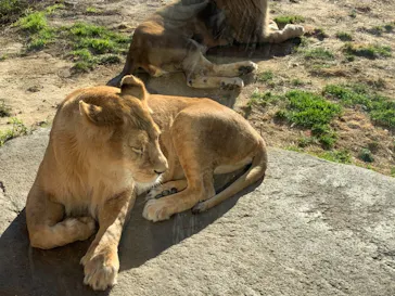 天王寺動物園に投稿された画像（2021/1/10）