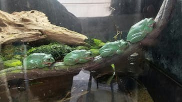 株式会社Gに投稿された画像（2021/1/10）