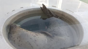 株式会社Gに投稿された画像（2021/1/10）