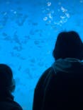 アクアワールド茨城県大洗水族館に投稿された画像（2021/1/10）