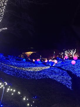 さがみ湖MORI MORIに投稿された画像（2021/1/10）