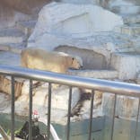 天王寺動物園に投稿された画像（2021/1/10）
