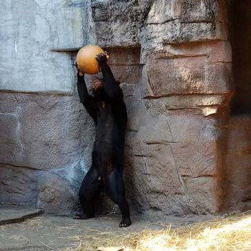 天王寺動物園に投稿された画像（2021/1/10）