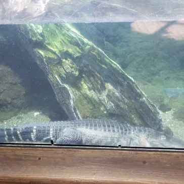 天王寺動物園に投稿された画像（2021/1/10）