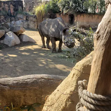天王寺動物園に投稿された画像（2021/1/10）