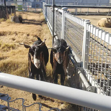 天王寺動物園に投稿された画像（2021/1/10）