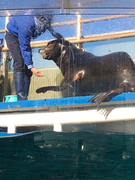 サンシャイン水族館に投稿された画像（2021/1/10）