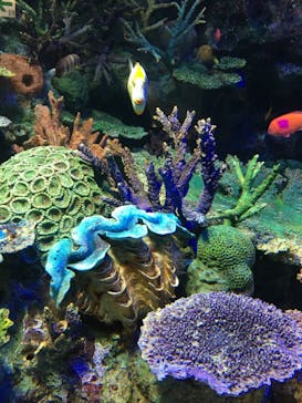 サンシャイン水族館に投稿された画像（2021/1/10）