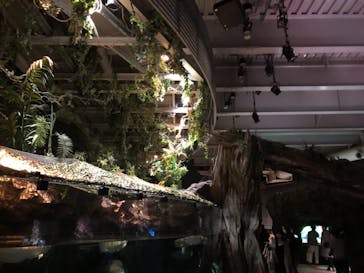 マクセル アクアパーク品川に投稿された画像（2021/1/11）