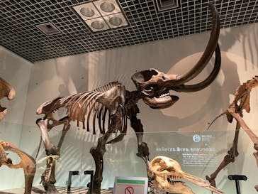 国立科学博物館に投稿された画像（2021/1/11）