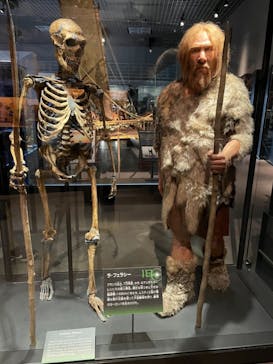 国立科学博物館に投稿された画像（2021/1/11）