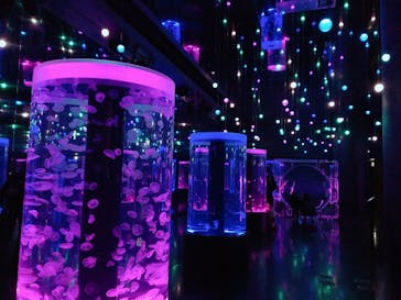 マクセル アクアパーク品川に投稿された画像（2021/1/11）