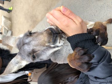 神戸どうぶつ王国に投稿された画像（2021/1/11）