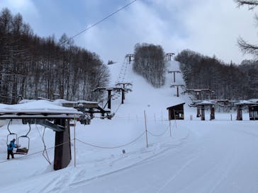 Mt.乗鞍スノーリゾートに投稿された画像（2021/1/11）