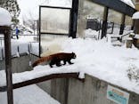 旭川市旭山動物園に投稿された画像（2021/1/11）