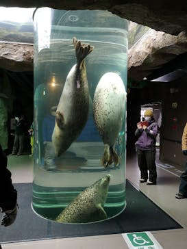 旭川市旭山動物園に投稿された画像（2021/1/11）