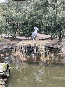 神戸どうぶつ王国に投稿された画像（2021/1/11）